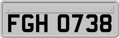 FGH0738