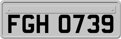 FGH0739