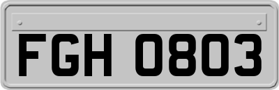 FGH0803
