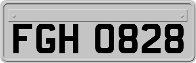 FGH0828
