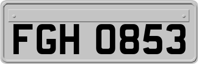FGH0853