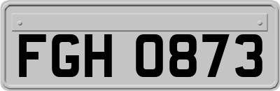 FGH0873