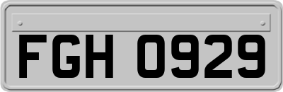 FGH0929
