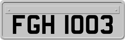FGH1003