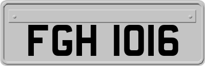 FGH1016