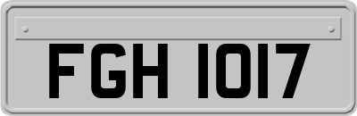 FGH1017