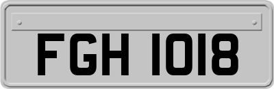FGH1018