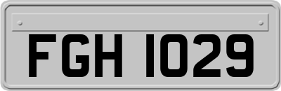 FGH1029