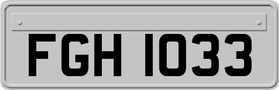 FGH1033
