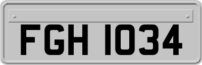 FGH1034