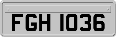 FGH1036
