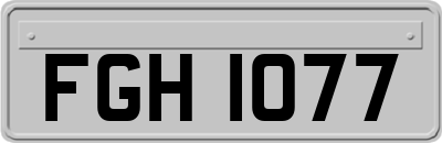 FGH1077