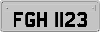 FGH1123