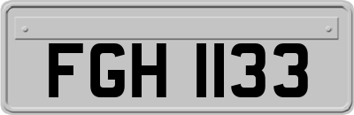 FGH1133