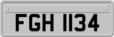 FGH1134