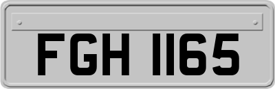 FGH1165
