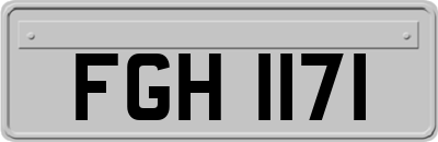 FGH1171