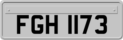FGH1173