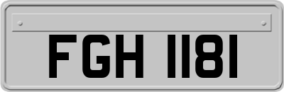 FGH1181