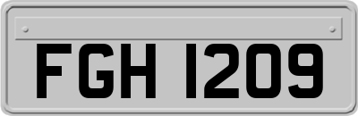 FGH1209