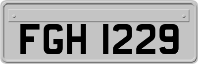 FGH1229