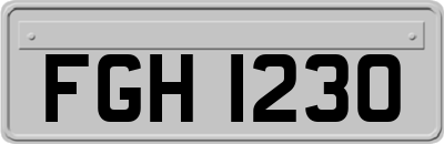 FGH1230