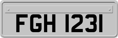 FGH1231