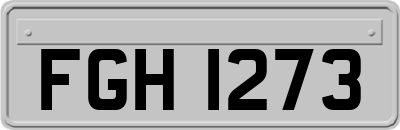 FGH1273