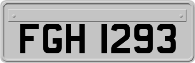 FGH1293