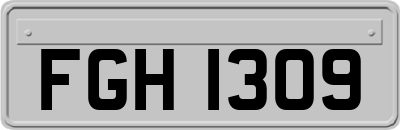 FGH1309