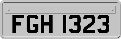 FGH1323