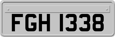 FGH1338
