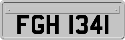 FGH1341