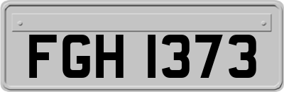 FGH1373