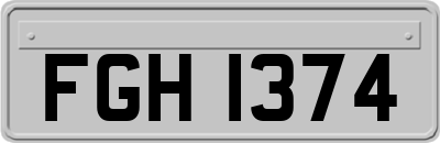 FGH1374