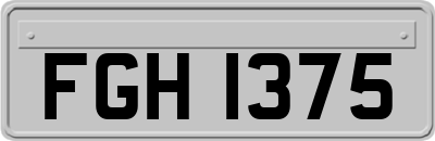 FGH1375