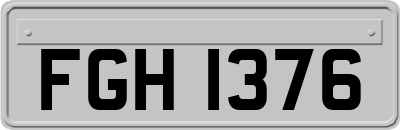FGH1376
