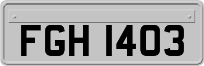 FGH1403