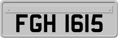 FGH1615