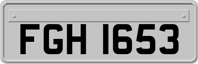 FGH1653