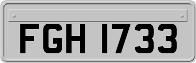 FGH1733