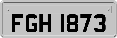 FGH1873