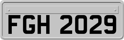 FGH2029