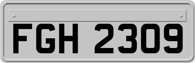 FGH2309