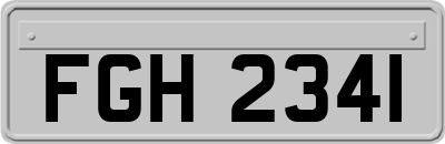 FGH2341