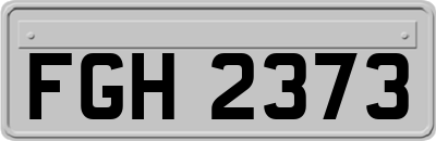 FGH2373