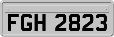 FGH2823