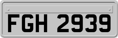 FGH2939