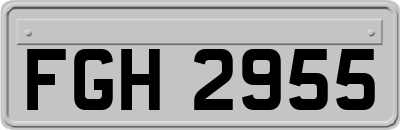 FGH2955