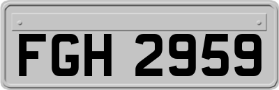 FGH2959